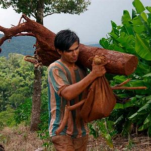 Bilder Der Weg nach San Diego