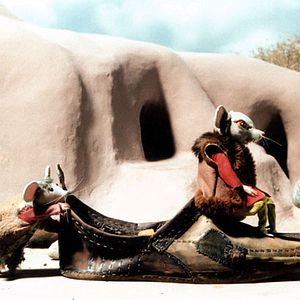 Bilder Abdollah Alimorad