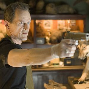 Bilder Michael Davis