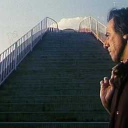 Bilder Sepideh Farsi