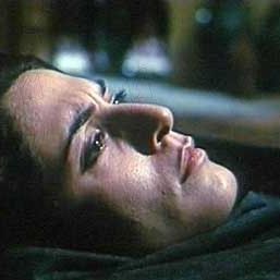 Bilder Sepideh Farsi