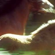 Bilder Olivier Ringer