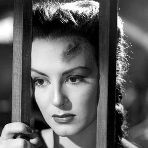 Bilder Emilio Fernandez