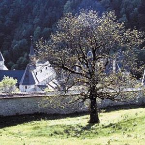 Bilder Philip Gröning