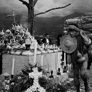 Bilder Roberto Gavaldón