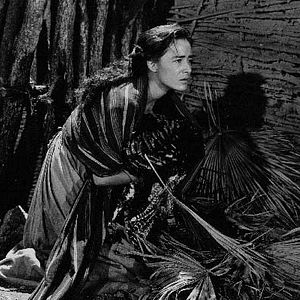 Bilder Roberto Gavaldón