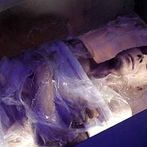 Bilder Lambert Wilson