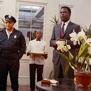 Bilder In der Hitze der Nacht