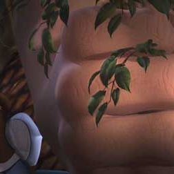 Bilder Paul J. Bolger