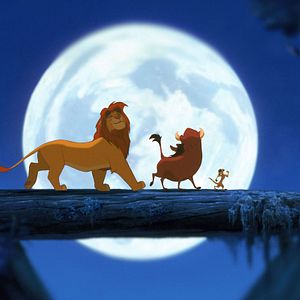 Bilder Der König der Löwen