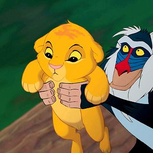 Bilder Der König der Löwen