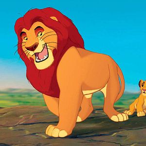 Bilder Der König der Löwen