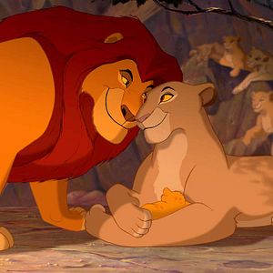 Bilder Der König der Löwen