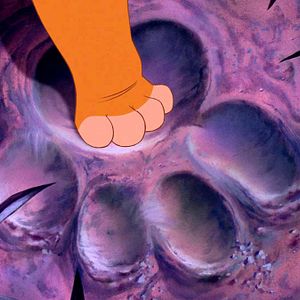 Bilder Der König der Löwen