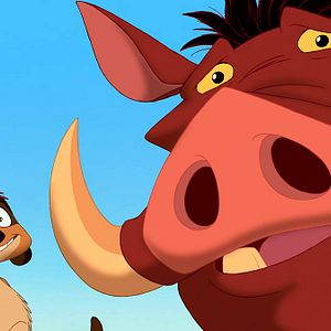 Bilder Der König der Löwen