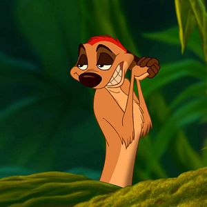 Bilder Der König der Löwen