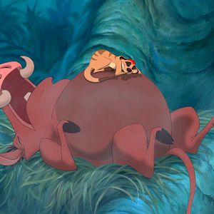 Bilder Der König der Löwen