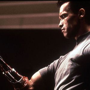 Bilder Arnold Schwarzenegger