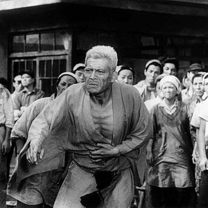 Bilder Bilanz eines Lebens