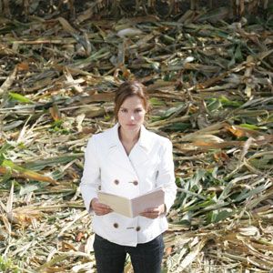 Bilder Toinette Laquière