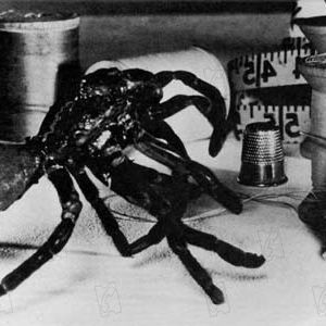 Bilder Grant Williams