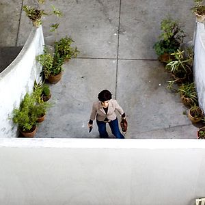 Bilder Faouzi Bensaïdi