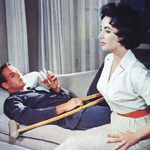 Bilder Die Katze auf dem heißen Blechdach