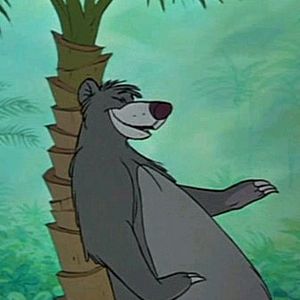 Bilder Das Dschungelbuch