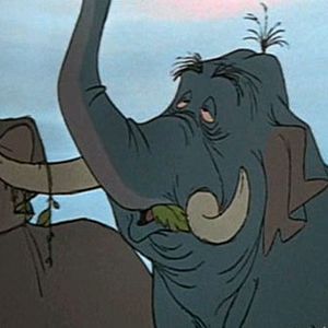 Bilder Das Dschungelbuch