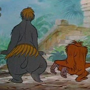 Bilder Das Dschungelbuch