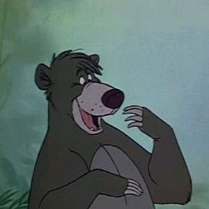 Bilder Das Dschungelbuch