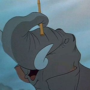 Bilder Das Dschungelbuch