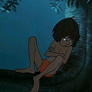 Bilder Das Dschungelbuch