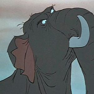 Bilder Das Dschungelbuch