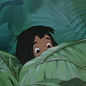 Bilder Das Dschungelbuch