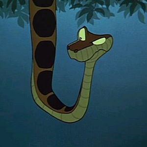 Bilder Das Dschungelbuch