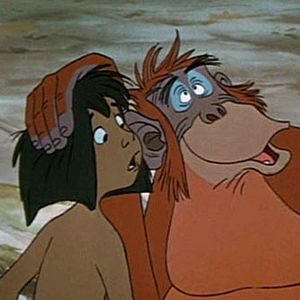 Bilder Das Dschungelbuch