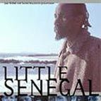 Bilder Little Senegal