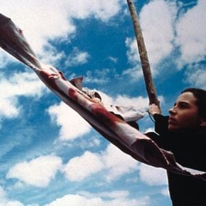 Bilder Hinter der Sonne