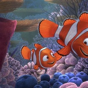 Bilder Findet Nemo