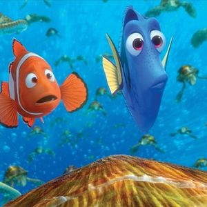 Bilder Findet Nemo
