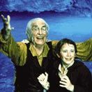 Bilder Die neuen Abenteuer von Pinocchio