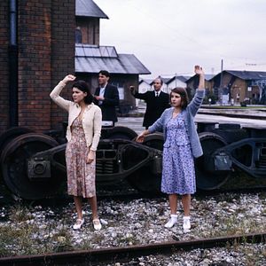 Bilder Die weiße Rose