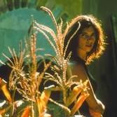 Bilder Y Tu Mamá También – Lust For Life