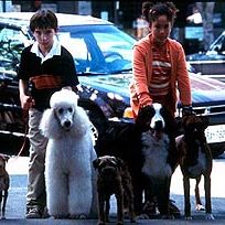 Bilder In tierischer Mission