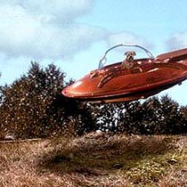 Bilder In tierischer Mission