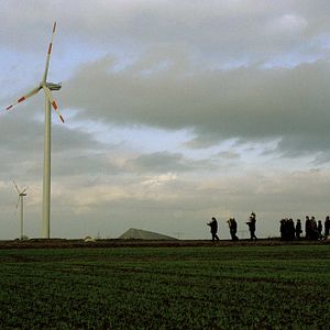 Bilder Schultze gets the Blues