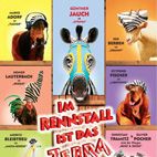 Bilder Im Rennstall ist das Zebra los!