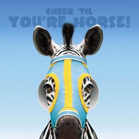 Bilder Im Rennstall ist das Zebra los!