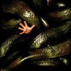 Bilder Anacondas – Die Jagd nach der Blut-Orchidee